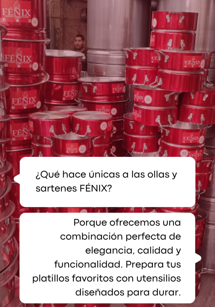 ¿Qué hace únicas a las ollas y sartenes FÉNIX (1)